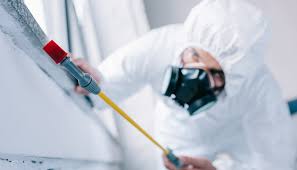 Best Pest Control for Multi-Family Homes  in Great Neck Plaza, NY